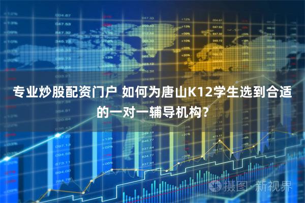 专业炒股配资门户 如何为唐山K12学生选到合适的一对一辅导机构?